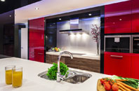 Alton Pancras kitchen extensions